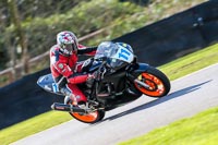 Oulton-Park-20th-March-2020;PJ-Motorsport-Photography-2020;anglesey;brands-hatch;cadwell-park;croft;donington-park;enduro-digital-images;event-digital-images;eventdigitalimages;mallory;no-limits;oulton-park;peter-wileman-photography;racing-digital-images;silverstone;snetterton;trackday-digital-images;trackday-photos;vmcc-banbury-run;welsh-2-day-enduro